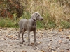 listop10-14-012