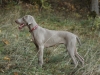 listopad1-15-071