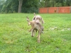 srpen13-06-012