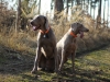 brezen02-14-019
