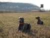 brezen02-14-076